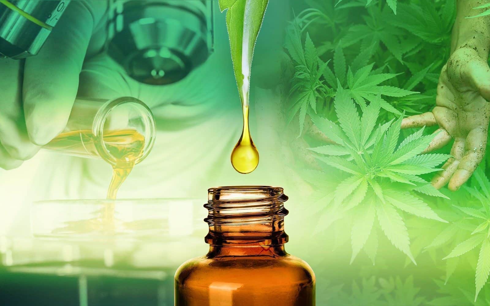 WHERE TO BUY CBD IN ROCHESTER-UPON-MEDWAY, UK